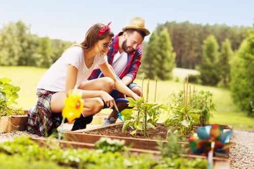 Tidy lawn care results for homes and properties in Old Ford