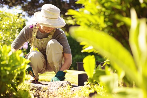 Garden hedge trimming in Old Ford during the growing season