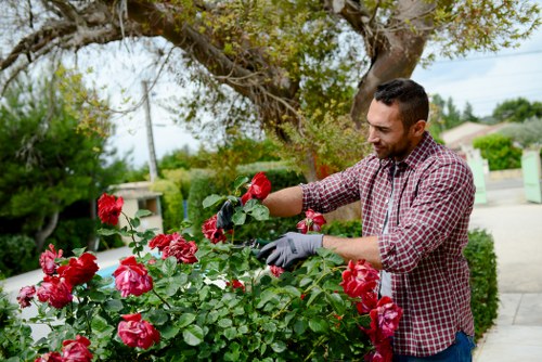 Seasonal garden maintenance in Old Ford with planted borders