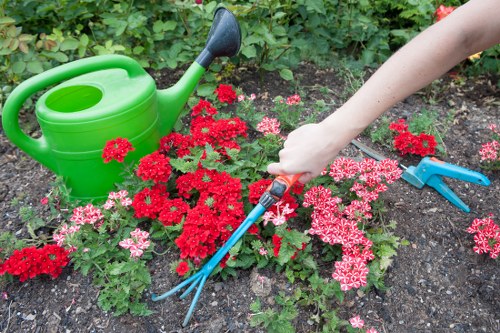 Patio cleaning in Old Ford for stone and paving surfaces