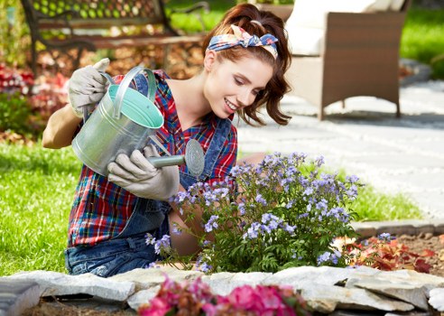 Seasonal lawn maintenance and edging in Old Ford
