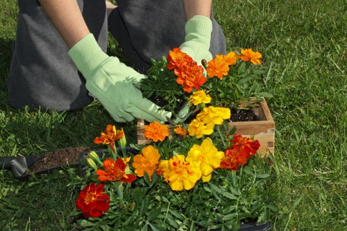 Lawn mowing and edging for garden maintenance in Old Ford