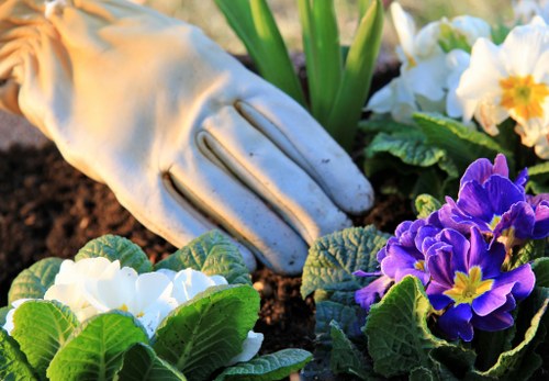 Supplier due diligence and modern slavery risk review in a gardening business