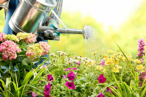 Safe use of gardening tools and equipment