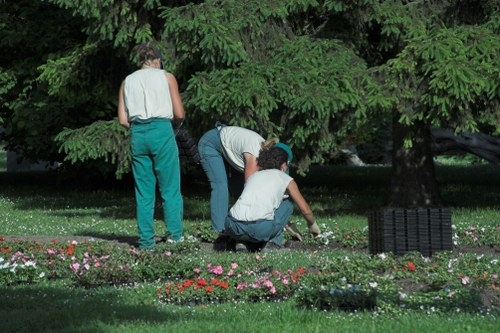 Trained gardener assessing a garden workspace in Old Ford