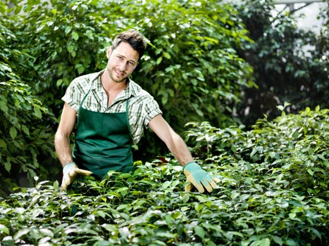 Load-based pricing for terrace and courtyard garden work in Old Ford