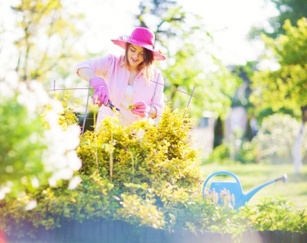 Accessibility features and structured content for Gardeners Old Ford users