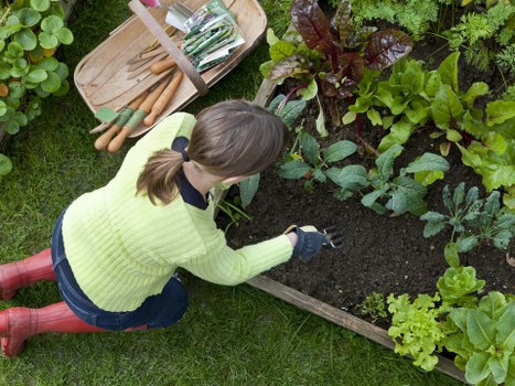 Old Ford gardeners maintaining a healthy and well-structured outdoor space