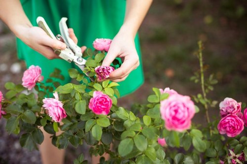 Free quote process for Old Ford garden clearance jobs