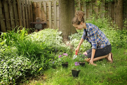 Soft landscaping and planting in an Old Ford outdoor space