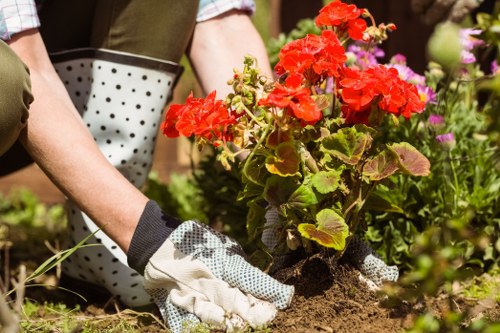 Gardeners Old Ford creating a balanced and attractive garden environment