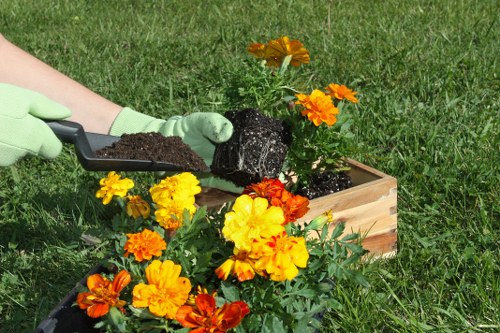 Garden cleanup and pruning services in Old Ford