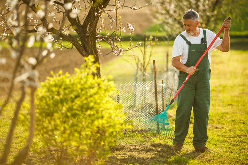 Professional tree pruning and lopping in an Old Ford garden