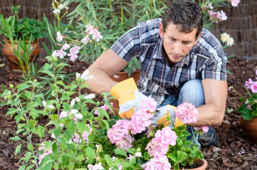 Local transfer station handling garden waste and recyclable materials