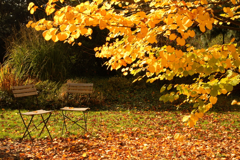 garden landscaping garden