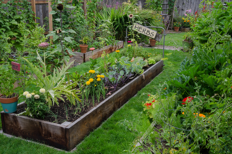 landscape design garden